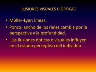 ILUSIONES VISUALES U ÓPTICAS
• Mϋller-Lyer: líneas.
• Ponzo: ancho de los rieles cambia por la
perspectiva y la profundidad.
• Las ilusiones ópticas o visuales influyen
en el estado perceptivo del individuo.
 