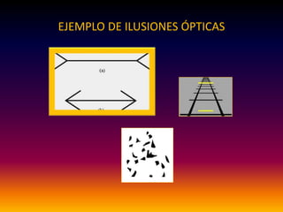 EJEMPLO DE ILUSIONES ÓPTICAS
 