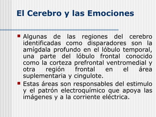 El Cerebro y las Emociones
 Algunas de las regiones del cerebro
identificadas como disparadores son la
amígdala profundo en el lóbulo temporal,
una parte del lóbulo frontal conocido
como la corteza prefrontal ventromedial y
otra región frontal en el área
suplementaria y cingulote.
 Estas áreas son responsables del estimulo
y el patrón electroquímico que apoya las
imágenes y a la corriente eléctrica.
 