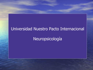 Universidad Nuestro Pacto Internacional Neuropsicología 