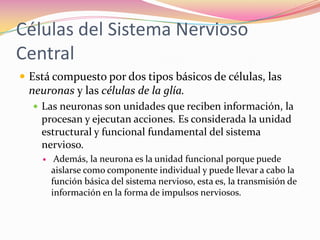 Células del Sistema Nervioso
Central
 Está compuesto por dos tipos básicos de células, las
 neuronas y las células de la glía.
   Las neuronas son unidades que reciben información, la
    procesan y ejecutan acciones. Es considerada la unidad
    estructural y funcional fundamental del sistema
    nervioso.
        Además, la neurona es la unidad funcional porque puede
        aislarse como componente individual y puede llevar a cabo la
        función básica del sistema nervioso, esta es, la transmisión de
        información en la forma de impulsos nerviosos.
 