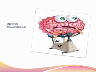 ¿Qué es la
Neuropsicología?
 