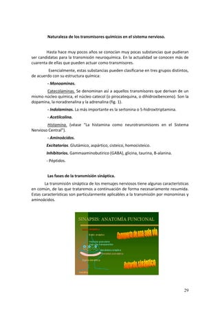  
          Naturaleza de los transmisores químicos en el sistema nervioso. 
        
         Hasta hace muy pocos años se conocían muy pocas substancias que pudieran 
ser candidatas para la transmisión neuroquímica. En la actualidad se conocen más de 
cuarenta de ellas que pueden actuar como transmisores. 
           Esencialmente, estas substancias pueden clasificarse en tres grupos distintos, 
de acuerdo con su estructura química: 
          ‐ Monoaminas. 
         Catecolaminas. Se denominan así a aquellos transmisores que derivan de un 
mismo núcleo química, el núcleo catecol (o pirocatequina, o dihidroxibenceno). Son la 
dopamina, la noradrenalina y la adrenalina (fig. 1). 
          ‐ Indolaminas. La más importante es la sertonina o 5‐hidroxitriptamina. 
          ‐ Acetilcolina. 
          Histamina.  (véase  “La  histamina  como  neurotransmisores  en  el  Sistema 
Nervioso Central”). 
          ‐ Aminoácidos. 
         Excitatorios. Glutámico, aspártico, cisteico, homocisteico. 
         Inhibitorios. Gammaaminobutirico (GABA), glicina, taurina, B‐alanina. 
         ‐ Péptidos. 
        
          Las fases de la transmisión sináptica. 
       La transmisión sináptica de los mensajes nerviosos tiene algunas características 
en común, de las que trataremos a continuación de forma necesariamente resumida. 
Estas características son particularmente aplicables a la transmisión por monominas y 
aminoácidos. 
         




                                                                         
        

                                                                                      29
 