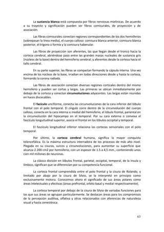 La sustancia blanca está compuesta por fibras nerviosas mielínicas. De acuerdo 
a  su  trayecto  y  significación  pueden  ser  fibras  comisurales,  de  proyección  y  de 
asociación. 

       Las fibras‐comisurales conectan regiones correspondientes de los dos hemisferios 
(sobrepasan la línea media), el cuerpo calloso: comisura blanca anterior, comisura blanca 
posterior, el trígono o formix y la comisura habenular. 

        Las  fibras  de  proyección  son  aferentes,  las  que  llegan  desde  el  tronco  hacia  la 
corteza  cerebral,  abriéndose  paso  entre  las  grandes  masas  nucleales  de  sustancia  gris 
(núcleos de la base) dentro del hemisferio cerebral; y aferentes desde la corteza hacia el 
tallo cerebral. 

       En su parte superior, las fibras se compactan formando la cápsula interna. Una vez 
encima de los núcleos de la base, irradian en todas direcciones desde y hasta la corteza, 
formando la corona radiada. 

       Las  fibras  de  asociación conectan  diversas  regiones  corticales  dentro  del  mismo 
hemisferio  y  pueden  ser  cortas  y  largas.  Las  primeras  se  ubican  inmediatamente  por 
debajo de la corteza y conectan circunvoluciones adyacentes. Las largas están reunidas 
en haces discecables. 

         El facículo unciforme, conecta las circunvoluciones de la cara inferior del lóbulo 
frontal  con  el  polo  temporal.  El  cíngulo  corre  dentro  de  la  circunvolución  del  cuerpo 
calloso, conecta en la cara interna o medial del hemisferio, el lóbulo frontal, pariental en 
la  circunvolución  del  hipocampo  en  el  temporal.  Por  su  cara  externa  o  convexa  el 
fascículo longuitudinal superior, asocia el frontal en los lóbulos occipital y temporal. 

      El  fascículo  longitudinal  inferior  relaciona  las  cortezas  sensoriales  con  el  polo 
temporal. 

       Por  último,  la  corteza  cerebral  humana,  significa  la  mayor  conquista 
telencefálica.  Es  la  máxima  estructura  interradora  de  los  procesos  de  más  alto  nivel. 
Plegada  en  su  cisuras,  surcos  y  circunvoluciones,  para  aumentar  su  superficie  que 
alcanza 2.200 cm2 por hemisferio, con un espesor de 1.5 a 4,5 mm., conteniendo unos 
cien mil millones de neuronas. 

       La clásica división en lóbulos frontal, parietal, occipital, temporal, de la ínsula y 
límbico, significan que se diferencian por su competencia funcional. 

        La  corteza  frontal  comprendida  entre  el  polo  frontal  y  la  cisura  de  Rolando,  y 
limitado  por  abajo  por  la  cisura  de  Silvio,  se  la  interpretó  en  principio  como 
exclusivamente  motora.  Conocemos  ahora  el  significado  de  sus  áreas  polares  como 
áreas intelectuales y afectivas (áreas prefrontal, orbito basal y medial respectivamente). 

         La corteza temporal por debajo de la cisura de Silvio de variadas funciones para 
las que sus áreas se agrupan particularmente. Se destacan áreas para los compromisos 
de  la  percepción  auditiva,  olfativa  y  otras  relacionados  con  aferencias  de  naturaleza 
visual y hasta cenestésica. 



                                                                                                 63
 