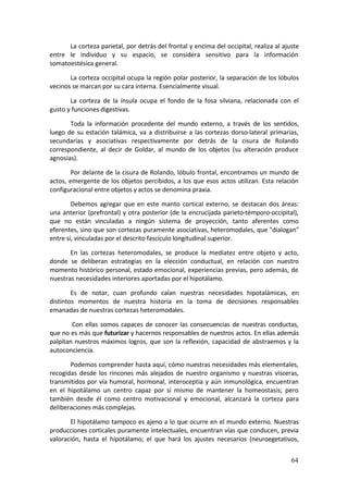 La corteza parietal, por detrás del frontal y encima del occipital, realiza al ajuste 
entre  le  individuo  y  su  espacio,  se  considera  sensitivo  para  la  información 
somatoestésica general. 

       La corteza occipital ocupa la región polar posterior, la separación de los lóbulos 
vecinos se marcan por su cara interna. Esencialmente visual. 

       La  corteza  de  la  ínsula  ocupa  el  fondo  de  la  fosa  silviana,  relacionada  con  el 
gusto y funciones digestivas. 

        Toda  la  información  procedente  del  mundo  externo,  a  través  de  los  sentidos, 
luego  de  su  estación  talámica,  va  a  distribuirse  a  las  cortezas  dorso‐lateral  primarias, 
secundarias  y  asociativas  respectivamente  por  detrás  de  la  cisura  de  Rolando 
correspondiente,  al  decir  de  Goldar,  al  mundo  de  los  objetos  (su  alteración  produce 
agnosias). 

       Por delante de la cisura de Rolando, lóbulo frontal, encontramos un mundo de 
actos, emergente de los objetos percibidos, a los que esos actos utilizan. Esta relación 
configuracional entre objetos y actos se denomina praxia. 

        Debemos  agregar  que  en  este  manto  cortical  externo,  se  destacan  dos  áreas: 
una  anterior  (prefrontal)  y  otra  posterior  (de  la  encrucijada  parieto‐témporo‐occipital), 
que  no  están  vinculadas  a  ningún  sistema  de  proyección,  tanto  aferentes  como 
eferentes, sino que son cortezas puramente asociativas, heteromodales, que "dialogan" 
entre sí, vinculadas por el descrito fascículo longitudinal superior.  

       En  las  cortezas  heteromodales,  se  produce  la  mediatez  entre  objeto  y  acto, 
donde  se  deliberan  estrategias  en  la  elección  conductual,  en  relación  con  nuestro 
momento histórico personal, estado emocional, experiencias previas, pero además, de 
nuestras necesidades interiores aportadas por el hipotálamo. 

        Es  de  notar,  cuan  profundo  calan  nuestras  necesidades  hipotalámicas,  en 
distintos  momentos  de  nuestra  historia  en  la  toma  de  decisiones  responsables 
emanadas de nuestras cortezas heteromodales. 

        Con  ellas  somos  capaces  de  conocer  las  consecuencias  de  nuestras  conductas, 
que no es más que futurizar y hacernos responsables de nuestros actos. En ellas además 
palpitan  nuestros  máximos  logros,  que  son  la  reflexión,  capacidad  de  abstraemos  y  la 
autoconciencia. 

         Podemos comprender hasta aquí, cómo nuestras necesidades más elementales, 
recogidas  desde  los  rincones  más  alejados  de  nuestro  organismo  y  nuestras  vísceras, 
transmitidos por vía humoral, hormonal, interoceptia y  aún inmunológica, encuentran 
en  el  hipotálamo  un  centro  capaz  por  sí  mismo  de  mantener  la  homeostasis;  pero 
también  desde  él  como  centro  motivacional  y  emocional,  alcanzará  la  corteza  para 
deliberaciones más complejas. 

       El hipotálamo tampoco es ajeno a lo que ocurre en el mundo externo. Nuestras 
producciones corticales puramente intelectuales, encuentran vías que conducen, previa 
valoración,  hasta  el  hipotálamo;  el  que  hará  los  ajustes  necesarios  (neuroegetativos, 


                                                                                                 64
 