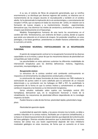 A  su  vez,  el  sistema  de  fibras  de  proyección  generalizada,  que  se  ramifica 
enormemente  y  se  distribuye  por  diversas  regiones  del  cerebro,  se  relaciona  con  el 
mantenimiento  de  las  sinapsis  durante  el  neurodesarollo  y  también  en  el  cerebro 
adulto. Se ha demostrado la implicación de la vía serotoninérgica, y concretamente del 
receptor 5‐HT2A, que se expresa en todas las neuronas del  córtex, en relación con la 
formación  de  nuevas  sinapsis  y  su  mantenimiento.  Estudios    experimentales 
demuestran que, tras disminuir los niveles de serotonina y acetilcolina, el número de 
sinapsis cayó drásticamente en el hipocampo. 
        Modelos  fisiopatogénicos  humanos  de  esta  teoría  los  encontramos  en  el 
cerebro del niño  fenilcetonúrico, con síndrome de Down y autista, donde se supone 
que existe una reducción en el número de sinapsis. Sin pretender simplificar, en estas 
patologías, a las bases genéticas  preexistentes se añaden factores ambientales como 
la nutrición y el estrés. 
         
        PLASTICIDAD  NEURONAL:  PARTICULARIDADES  EN  LA  RECUPERACIÓN 
FUNCIONAL 
         
        El patrón de reorganización cortical en la recuperación funcional de las diversas 
capacidades no es la misma, a pesar de que los mecanismos básicos de plasticidad son 
compartidos por todo el córtex. 
        Las  peculiaridades  en  estos  patrones  sustentan  las  diferentes  modalidades  de 
intervención  terapéutica  para  las  distintas  deficiencias:  motoras,  lingüísticas, 
sensoriales, neuropsicológicas, etc. 
         
        Recuperación motora 
        La  estructura  de  la  corteza  cerebral  está  cambiando  continuamente  en 
respuesta a el entrenamiento, las adquisiciones conductuales y motoras. 
        La construcción de mapas funcionales de áreas motoras con TMS mediante la 
estimulación  de  puntos  sobre  el  cuero  cabelludo  para  la  activación  de  un  músculo 
determinado  y  su  correlación  con  los  hallazgos  en  RMf  y  PET,  ha  posibilitado  la 
comprensión  de  la  forma  en  que  la  corteza  motora  y  somatomotora  se  adapta  y 
cambia en respuesta a las lesiones y a la intervención terapéutica.  
        Varios  estudios  realizados  sobre  sujetos  con  hemiplejía  central  (PCI 
hemipléjica),  demuestran  que,  en  la  recuperación  funcional  a  través  de  la 
rehabilitación,  los  mecanismos  de  plasticidad  difieren  dependiendo  de  la  cronología 
respecto a la lesión. 
        Pueden llevarse a cabo de dos formas: plasticidad rápida y plasticidad a largo 
plazo. 
         
        Plasticidad de aparición rápida 
         
        La plasticidad de aparición rápida, a los pocos minutos tras la lesión, se debe a 
cambios inducidos en la corteza motora, facilitados por el ejercicio (rehabilitación), y 
se basa en el desenmascaramiento de sinapsis latentes que depende de la disminución 
del  tono  gabérgico.  Diversos  estudios  demuestran  que  la  plasticidad  de  las  neuronas 
motoras  del  córtex  tras  una  lesión  experimental  depende  del  tono  inhibitorio 
modulador  gabérgico  en  estas  neuronas,  de  forma  que  un  aumento  en  el  tono 

                                                                                           80
 