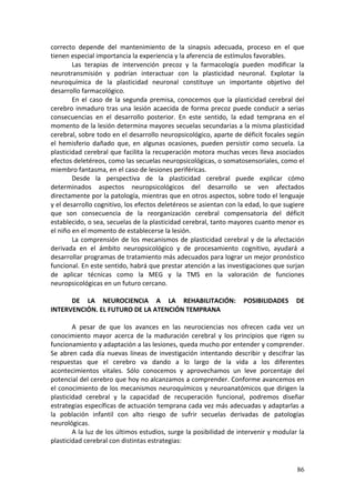 correcto  depende  del  mantenimiento  de  la  sinapsis  adecuada,  proceso  en  el  que 
tienen especial importancia la experiencia y la aferencia de estímulos favorables. 
        Las  terapias  de  intervención  precoz  y  la  farmacología  pueden  modificar  la 
neurotransmisión  y  podrían  interactuar  con  la  plasticidad  neuronal.  Explotar  la 
neuroquímica  de  la  plasticidad  neuronal  constituye  un  importante  objetivo  del 
desarrollo farmacológico. 
        En  el  caso  de  la  segunda  premisa,  conocemos  que  la  plasticidad  cerebral  del 
cerebro  inmaduro  tras  una  lesión  acaecida  de  forma  precoz  puede  conducir  a  serias 
consecuencias  en  el  desarrollo  posterior.  En  este  sentido,  la  edad  temprana  en  el 
momento de la lesión determina mayores secuelas secundarias a la misma plasticidad 
cerebral, sobre todo en el desarrollo neuropsicológico, aparte de déficit focales según 
el  hemisferio  dañado  que,  en  algunas  ocasiones,  pueden  persistir  como  secuela.  La 
plasticidad cerebral que facilita la recuperación motora muchas veces lleva asociados 
efectos deletéreos, como las secuelas neuropsicológicas, o somatosensoriales, como el 
miembro fantasma, en el caso de lesiones periféricas.   
        Desde  la  perspectiva  de  la  plasticidad  cerebral  puede  explicar  cómo 
determinados  aspectos  neuropsicológicos  del  desarrollo  se  ven  afectados 
directamente por la patología, mientras que en otros aspectos, sobre todo el lenguaje 
y el desarrollo cognitivo, los efectos deletéreos se asientan con la edad, lo que sugiere 
que  son  consecuencia  de  la  reorganización  cerebral  compensatoria  del  déficit 
establecido, o sea, secuelas de la plasticidad cerebral, tanto mayores cuanto menor es 
el niño en el momento de establecerse la lesión. 
        La  comprensión  de  los  mecanismos  de  plasticidad  cerebral  y  de  la  afectación 
derivada  en  el  ámbito  neuropsicológico  y  de  procesamiento  cognitivo,  ayudará  a 
desarrollar programas de tratamiento más adecuados para lograr un mejor pronóstico 
funcional. En este sentido, habrá que prestar atención a las investigaciones que surjan 
de  aplicar  técnicas  como  la  MEG  y  la  TMS  en  la  valoración  de  funciones 
neuropsicológicas en un futuro cercano. 
         
        DE  LA  NEUROCIENCIA  A  LA  REHABILITACIÓN:  POSIBILIDADES  DE 
INTERVENCIÓN. EL FUTURO DE LA ATENCIÓN TEMPRANA 
         
        A  pesar  de  que  los  avances  en  las  neurociencias  nos  ofrecen  cada  vez  un 
conocimiento  mayor  acerca  de  la  maduración  cerebral  y  los  principios  que  rigen  su 
funcionamiento y adaptación a las lesiones, queda mucho por entender y comprender. 
Se  abren  cada  día  nuevas  líneas  de  investigación  intentando  describir  y  descifrar  las 
respuestas  que  el  cerebro  va  dando  a  lo  largo  de  la  vida  a  los  diferentes 
acontecimientos  vitales.  Sólo  conocemos  y  aprovechamos  un  leve  porcentaje  del 
potencial del cerebro que hoy no alcanzamos a comprender. Conforme avancemos en 
el conocimiento de los mecanismos neuroquímicos y neuroanatómicos que dirigen la 
plasticidad  cerebral  y  la  capacidad  de  recuperación  funcional,  podremos  diseñar 
estrategias específicas de actuación temprana cada vez más adecuadas y adaptarlas a 
la  población  infantil  con  alto  riesgo  de  sufrir  secuelas  derivadas  de  patologías 
neurológicas. 
        A la luz de los últimos estudios, surge la posibilidad de intervenir y modular la 
plasticidad cerebral con distintas estrategias:  



                                                                                              86
 
