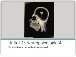 Unitat 1: Neuropsicologia 4  ,[object Object]
