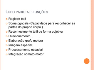 LOBO PARIETAL: FUNÇÕES
 Registro tatil
 Somatognosia (Capacidade para reconhecer as
partes do próprio corpo.)
 Reconhecimento tatil de forma objetiva
 Direcionamento
 Elaboração grafo motora
 Imagem espacial
 Processamento espacial
 Integração somato-motor
 