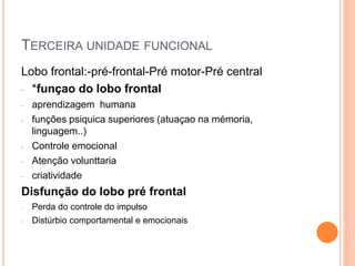 TERCEIRA UNIDADE FUNCIONAL
Lobo frontal:-pré-frontal-Pré motor-Pré central
- *funçao do lobo frontal
- aprendizagem humana
- funções psiquica superiores (atuaçao na mémoria,
linguagem..)
- Controle emocional
- Atenção volunttaria
- criatividade
Disfunção do lobo pré frontal
- Perda do controle do impulso
- Distúrbio comportamental e emocionais
 