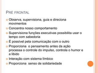 PRÉ FRONTAL
 Observa, supervisiona, guia e direciona
movimentos
 Concentra nosso comportamento
 Supervisiona funções executivas possibilita usar o
tempo com sabedoria
 É possível pela comunicação com o outro
 Proporciona o pensamento antes da ação
processa o controle do impulso, controla o humor e
a libido
 Interação com sistema límbico
 Proporciona senso de solidariedade
 