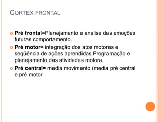 CORTEX FRONTAL
 Pré frontal=Planejamento e analise das emoções
futuras comportamento.
 Pré motor= integração dos atos motores e
seqüência de ações aprendidas.Programação e
planejamento das atividades motora.
 Pré central= media movimento (media pré central
e pré motor
 