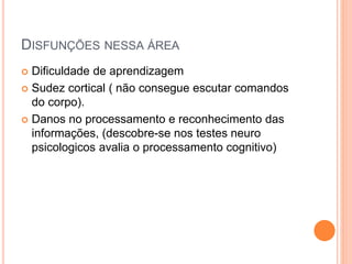 DISFUNÇÕES NESSA ÁREA
 Dificuldade de aprendizagem
 Sudez cortical ( não consegue escutar comandos
do corpo).
 Danos no processamento e reconhecimento das
informações, (descobre-se nos testes neuro
psicologicos avalia o processamento cognitivo)
 