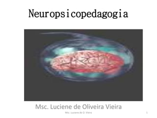 Neuropsicopedagogia
Msc. Luciene de Oliveira Vieira
Msc. Luciene de O. Vieira 1
 