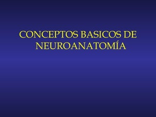 CONCEPTOS BASICOS DE
NEUROANATOMÍA
 