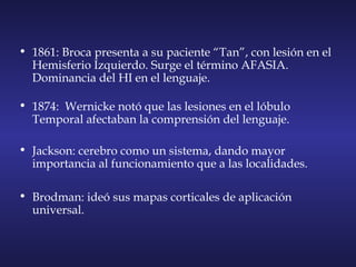 • 1861: Broca presenta a su paciente “Tan”, con lesión en el
Hemisferio Izquierdo. Surge el término AFASIA.
Dominancia del HI en el lenguaje. 
• 1874: Wernicke notó que las lesiones en el lóbulo
Temporal afectaban la comprensión del lenguaje.
• Jackson: cerebro como un sistema, dando mayor
importancia al funcionamiento que a las localidades.
• Brodman: ideó sus mapas corticales de aplicación
universal.
 