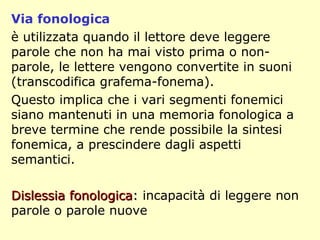 Via fonologica
è utilizzata quando il lettore deve leggere
parole che non ha mai visto prima o non-
parole, le lettere vengono convertite in suoni
(transcodifica grafema-fonema).
Questo implica che i vari segmenti fonemici
siano mantenuti in una memoria fonologica a
breve termine che rende possibile la sintesi
fonemica, a prescindere dagli aspetti
semantici.
Dislessia fonologicaDislessia fonologica:: incapacità di leggere non
parole o parole nuove
 