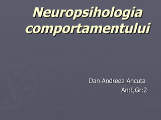 Neuropsihologia comportamentului Dan Andreea Ancu ț a An:I,Gr:2 