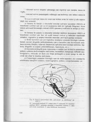 Neuro psihologie