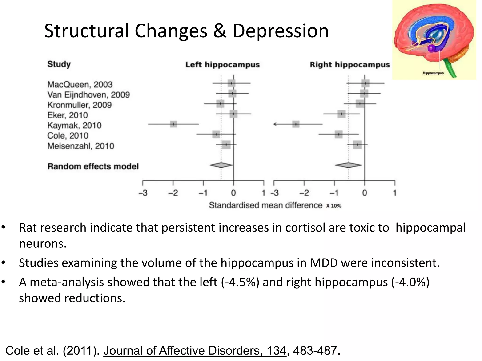 Structural Changes & Depression




• Rat research indicate that persistent increases in cortisol are toxic to hippocampal
  neurons.
• Studies examining the volume of the hippocampus in MDD were inconsistent.
• A meta-analysis showed that the left (-4.5%) and right hippocampus (-4.0%)
  showed reductions.


Cole et al. (2011). Journal of Affective Disorders, 134, 483-487.
 