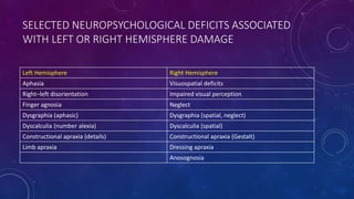 SELECTED NEUROPSYCHOLOGICAL DEFICITS ASSOCIATED
WITH LEFT OR RIGHT HEMISPHERE DAMAGE
Left Hemisphere Right Hemisphere
Aphasia Visuospatial deficits
Right–left disorientation Impaired visual perception
Finger agnosia Neglect
Dysgraphia (aphasic) Dysgraphia (spatial, neglect)
Dyscalculia (number alexia) Dyscalculia (spatial)
Constructional apraxia (details) Constructional apraxia (Gestalt)
Limb apraxia Dressing apraxia
Anosognosia
 