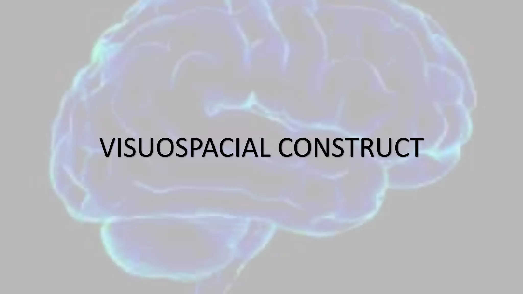 VISUOSPACIAL CONSTRUCT
 