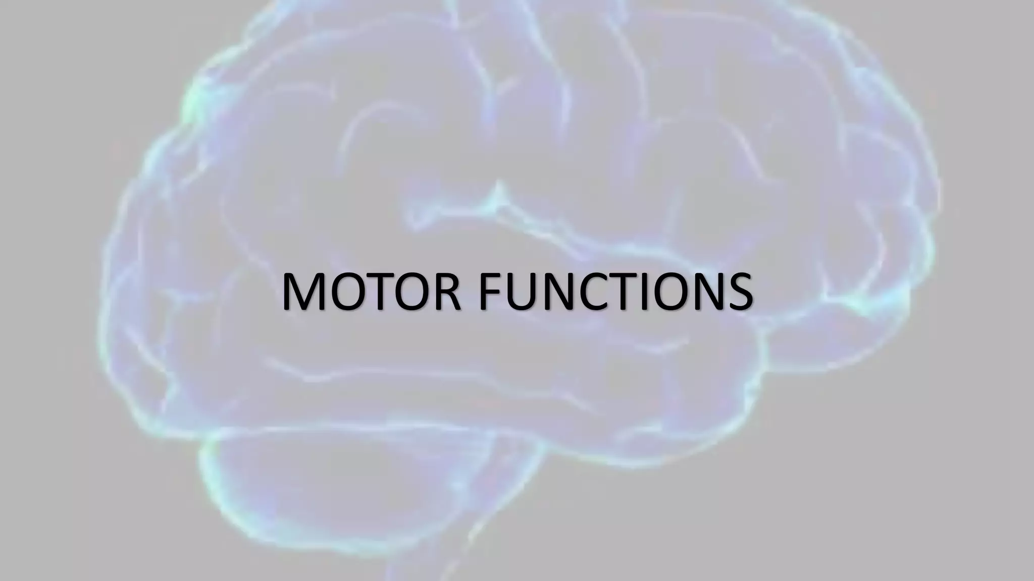 MOTOR FUNCTIONS
 