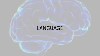 LANGUAGE
 