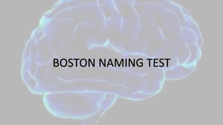 BOSTON NAMING TEST
 