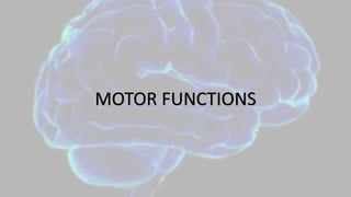 MOTOR FUNCTIONS
 