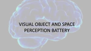 VISUAL OBJECT AND SPACE
PERCEPTION BATTERY
 