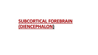 SUBCORTICAL FOREBRAIN
(DIENCEPHALON)
 