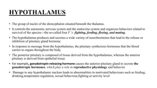 HYPOTHALAMUS
• The group of nuclei of the diencephalon situated beneath the thalamus.
• It controls the autonomic nervous system and the endocrine system and organizes behaviors related to
survival of the species—the so-called four F ’s: fighting, feeding, fleeing, and mating.
• The hypothalamus produces and secretes a wide variety of neurohormones that lead to the release or
inhibition of pituitary gland hormone
• In response to message from the hypothalamus, the pituitary synthesizes hormones that the blood
carries to organs throughout the body
• The posterior pituitary is composed of tissue derived from the hypothalamus, whereas the anterior
pituitary is derived from epithelial tissue
• For example, gonadotropin-releasing hormone causes the anterior pituitary gland to secrete the
gonadotropic hormones, which play a role in reproductive physiology and behavior
• Damage to any hypothalamic nucleus leads to abnormalities in motivated behaviours such as feeding,
drinking,temperature regulation, sexual behaviour,fighting.or activity level
 