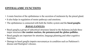 EPITHALAMIC FUNCTIONS
• A main function of the epithalamus is the secretion of melatonin by the pineal gland.
• It also helps in regulation of motor pathways and emotions.
• The epithalamus is connected with both the limbic system and the basal ganglia.
BASAL GANGLIA
• Basal ganglia,a group of subcortical structures lateral to the thalamus,include three
major structures:the caudate nucleus, the putamen,and the globus pallidus.
• Basal ganglia are important for attention, language,planning,and other cognitive
functions.
• Damage to basal ganglia impairs movement,as in condition such as Parkinson’s
disease and Huntigton’s disease.
 