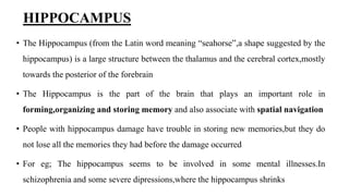 HIPPOCAMPUS
• The Hippocampus (from the Latin word meaning “seahorse”,a shape suggested by the
hippocampus) is a large structure between the thalamus and the cerebral cortex,mostly
towards the posterior of the forebrain
• The Hippocampus is the part of the brain that plays an important role in
forming,organizing and storing memory and also associate with spatial navigation
• People with hippocampus damage have trouble in storing new memories,but they do
not lose all the memories they had before the damage occurred
• For eg; The hippocampus seems to be involved in some mental illnesses.In
schizophrenia and some severe dipressions,where the hippocampus shrinks
 