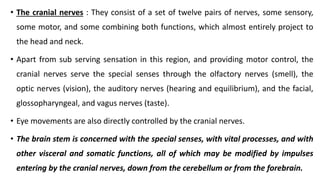 • The cranial nerves : They consist of a set of twelve pairs of nerves, some sensory,
some motor, and some combining both functions, which almost entirely project to
the head and neck.
• Apart from sub serving sensation in this region, and providing motor control, the
cranial nerves serve the special senses through the olfactory nerves (smell), the
optic nerves (vision), the auditory nerves (hearing and equilibrium), and the facial,
glossopharyngeal, and vagus nerves (taste).
• Eye movements are also directly controlled by the cranial nerves.
• The brain stem is concerned with the special senses, with vital processes, and with
other visceral and somatic functions, all of which may be modified by impulses
entering by the cranial nerves, down from the cerebellum or from the forebrain.
 