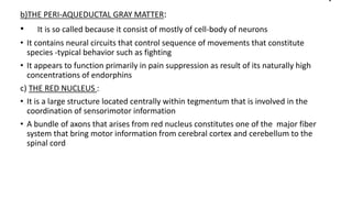 b)THE PERI-AQUEDUCTAL GRAY MATTER:
• It is so called because it consist of mostly of cell-body of neurons
• It contains neural circuits that control sequence of movements that constitute
species -typical behavior such as fighting
• It appears to function primarily in pain suppression as result of its naturally high
concentrations of endorphins
c) THE RED NUCLEUS :
• It is a large structure located centrally within tegmentum that is involved in the
coordination of sensorimotor information
• A bundle of axons that arises from red nucleus constitutes one of the major fiber
system that bring motor information from cerebral cortex and cerebellum to the
spinal cord
 