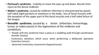 • Parinaud's syndrome - Inability to move the eyes up and down. Results from
injury to the dorsal midbrain
• Weber's syndrome, caused by midbrain infarction is characterized by spastic
half sided slight paralysis or weakness in the body , loss of facial muscles with
the exception of the upper part of the facial muscles and a half sided failure of
the tongue
• Benedikt syndrome, caused by a lesion (infarction, hemorrhage,
tumor, or tuberculosis) in the tegmentum of the midbrain and
cerebellum.
• People with this syndrome have a palsy or a waddling walk through coordination
disorder (ataxia).
- involuntary vibrations which occur when performing a deliberate operation
(intention tremor)
- abnormal involuntary movements (hyperkinesias)
 