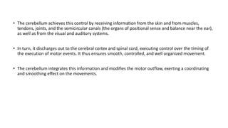 • The cerebellum achieves this control by receiving information from the skin and from muscles,
tendons, joints, and the semicircular canals (the organs of positional sense and balance near the ear),
as well as from the visual and auditory systems.
• In turn, it discharges out to the cerebral cortex and spinal cord, executing control over the timing of
the execution of motor events. It thus ensures smooth, controlled, and well organized movement.
• The cerebellum integrates this information and modifies the motor outflow, exerting a coordinating
and smoothing effect on the movements.
 