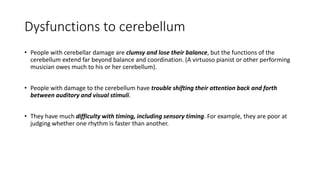 Dysfunctions to cerebellum
• People with cerebellar damage are clumsy and lose their balance, but the functions of the
cerebellum extend far beyond balance and coordination. (A virtuoso pianist or other performing
musician owes much to his or her cerebellum).
• People with damage to the cerebellum have trouble shifting their attention back and forth
between auditory and visual stimuli.
• They have much difficulty with timing, including sensory timing. For example, they are poor at
judging whether one rhythm is faster than another.
 