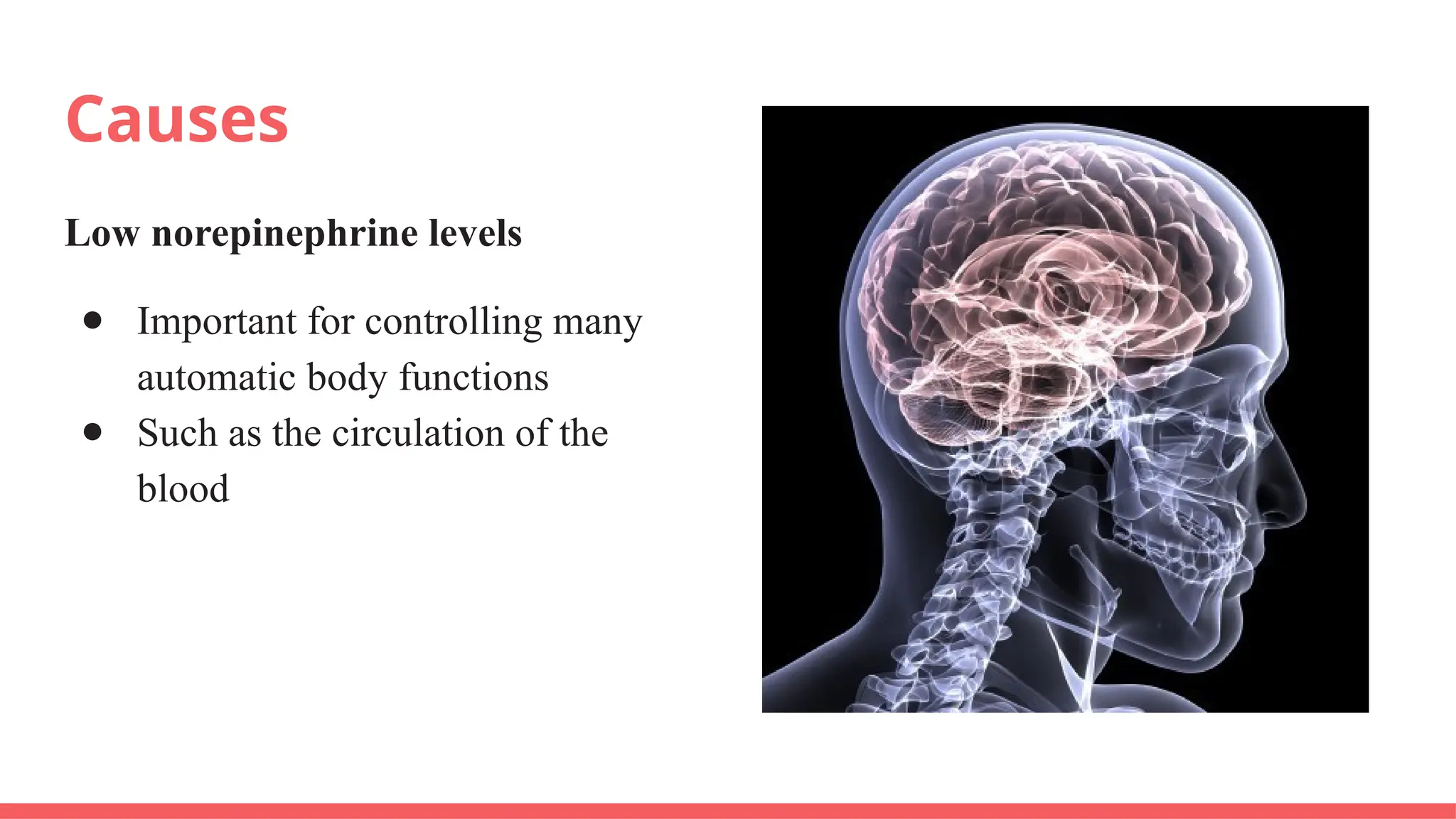 Neuropsychology.pptx research project... | PPTX