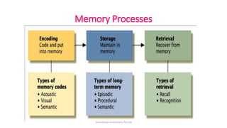 Neuropsychology learning and memory | PDF