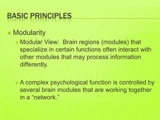 BASIC PRINCIPLES
 Modularity
 Modular View: Brain regions (modules) that
specialize in certain functions often interact with
other modules that may process information
differently.
 A complex psychological function is controlled by
several brain modules that are working together
in a “network.”
 
