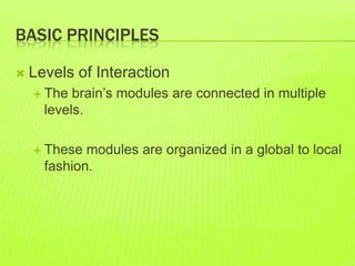 BASIC PRINCIPLES
 Levels of Interaction
 The brain’s modules are connected in multiple
levels.
 These modules are organized in a global to local
fashion.
 
