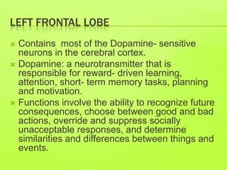 LEFT FRONTAL LOBE
 Contains most of the Dopamine- sensitive
neurons in the cerebral cortex.
 Dopamine: a neurotransmitter that is
responsible for reward- driven learning,
attention, short- term memory tasks, planning
and motivation.
 Functions involve the ability to recognize future
consequences, choose between good and bad
actions, override and suppress socially
unacceptable responses, and determine
similarities and differences between things and
events.
 