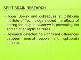 SPLIT BRAIN RESEARCH
 Roger Sperry and colleagues at California
Institute of Technology studied the effects of
cutting the corpus callosum in preventing the
spread of epileptic seizures.
 Research detected no significant differences
between normal people and split-brain
patients.
 