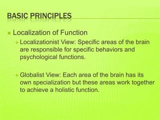 BASIC PRINCIPLES
 Localization of Function
 Localizationist View: Specific areas of the brain
are responsible for specific behaviors and
psychological functions.
 Globalist View: Each area of the brain has its
own specialization but these areas work together
to achieve a holistic function.
 