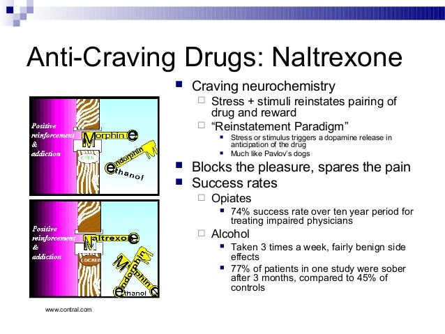 Anti Craving Anti Craving