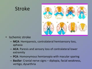 Stroke Ischemic stroke MCA : Hemiparesis, contralateral hemisensory loss, aphasia ACA : Paresis and sensory loss of contralateral lower extremity PCA : Homonymous hemianopia with macular sparing Basilar : Cranial nerve signs – diplopia, facial weakness, vertigo, dysarthria 
