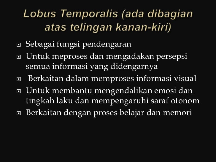 Neurosains